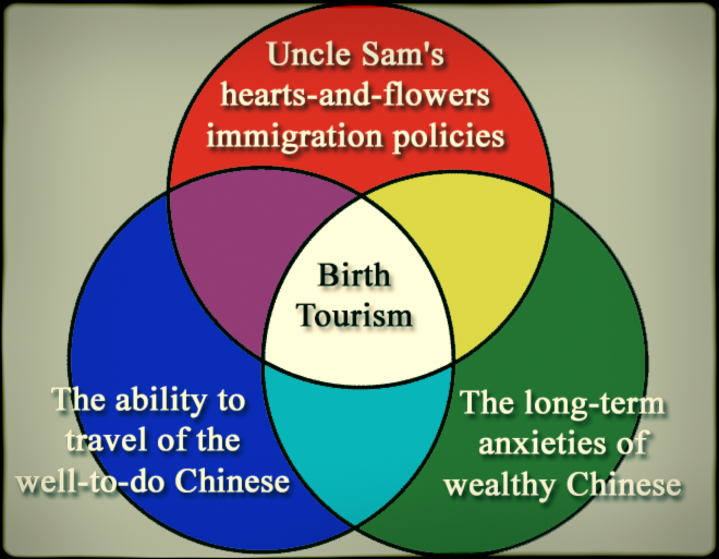 impacts of birth tourism